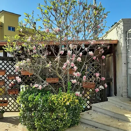 Viviana's Guest فندق مبيت وإفطار *